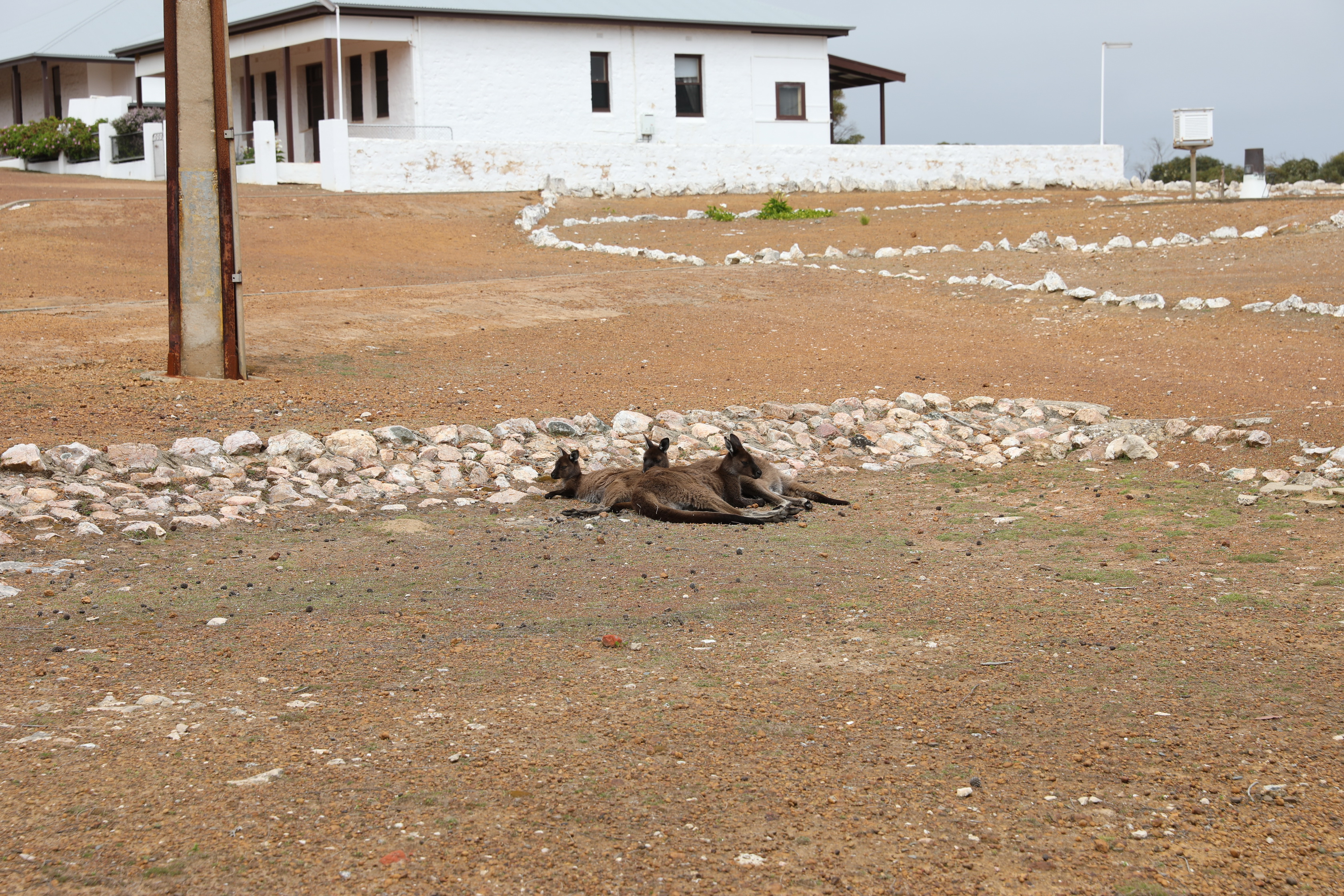 2019 10 02 11 32 29 Canon EOS 5D Mark IV 0013